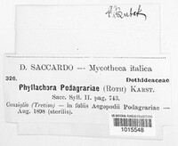 Mycosphaerella podagrariae image